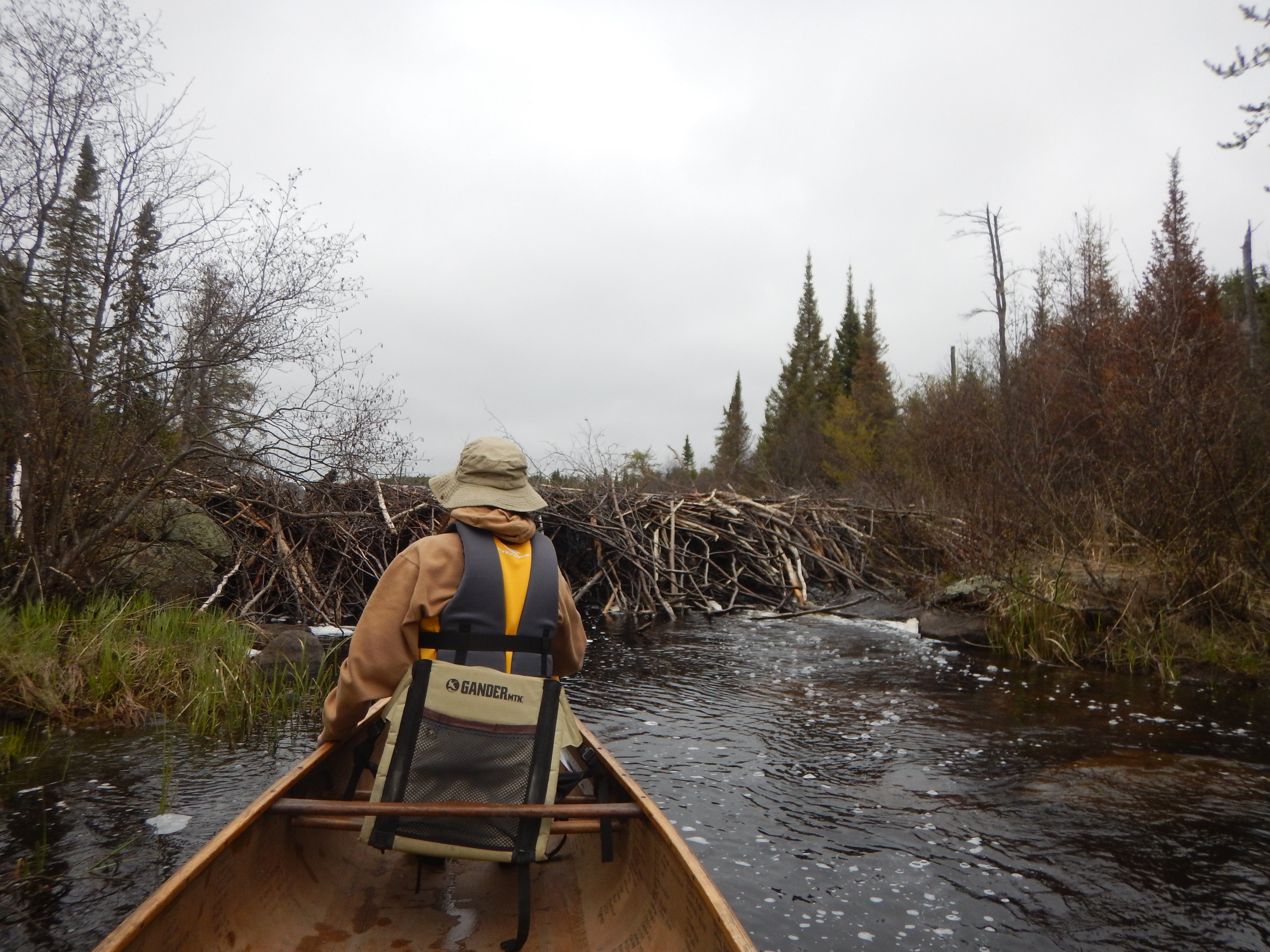beaver dam