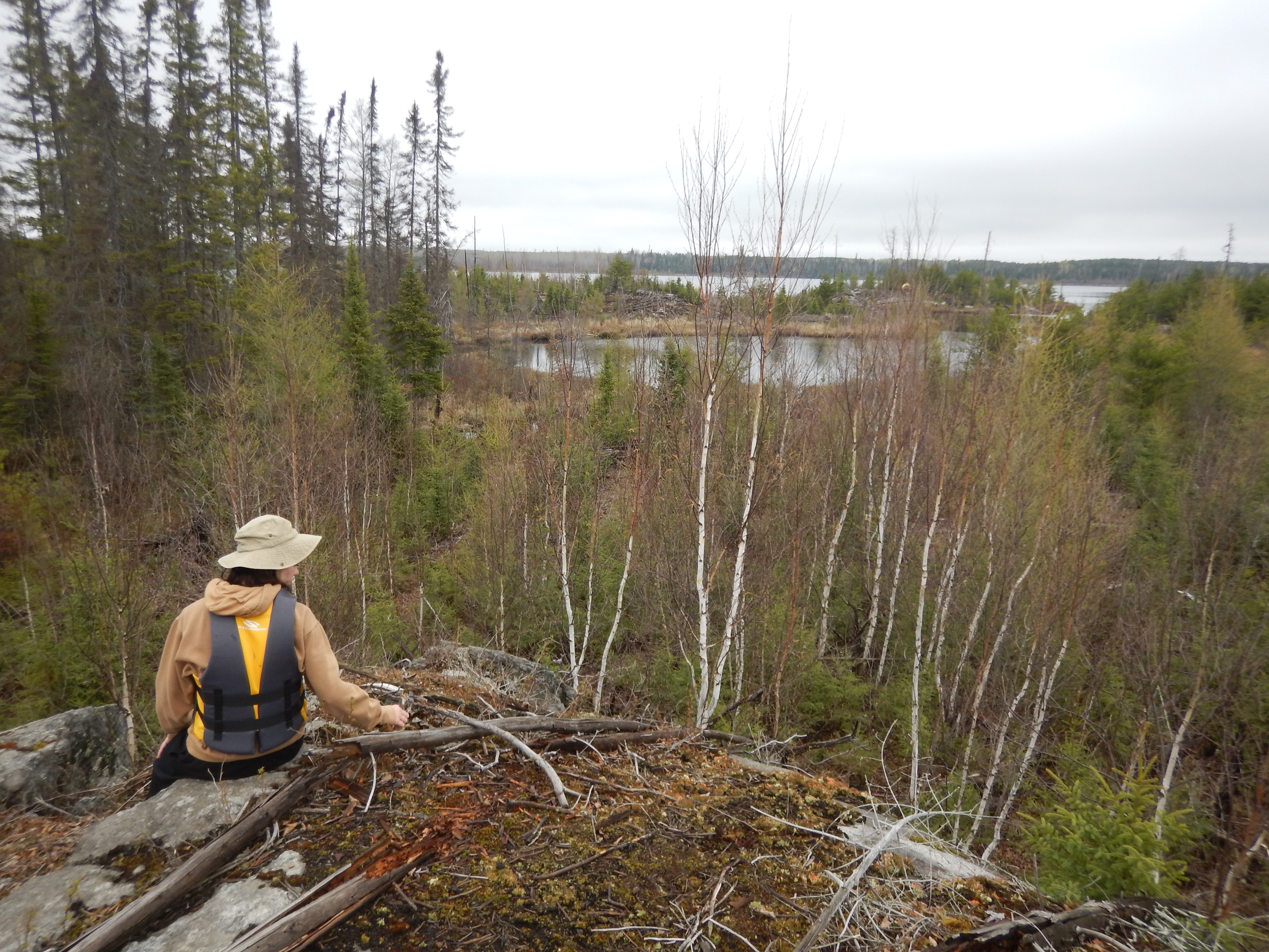 Ferne Lake overlook
