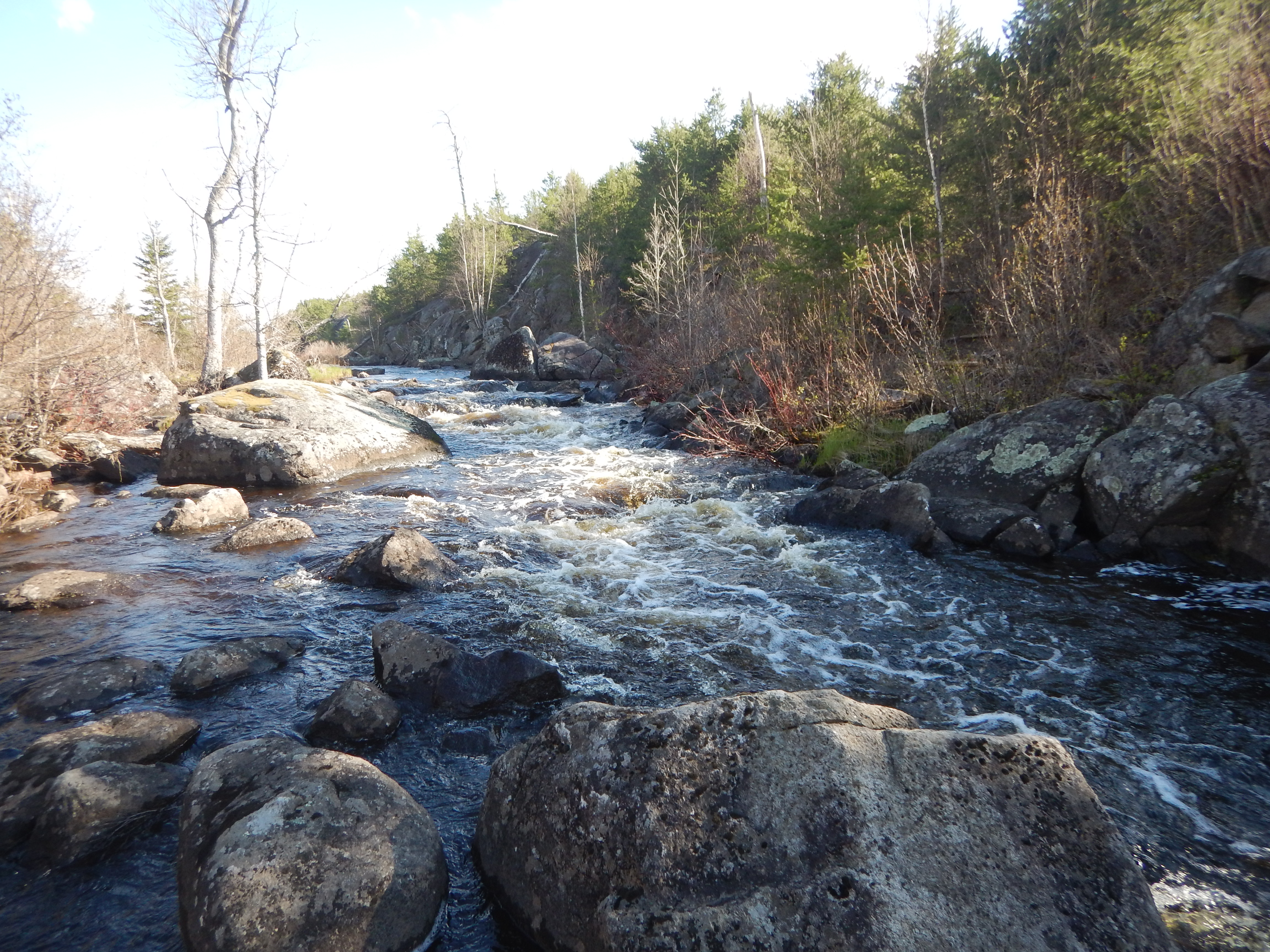 camp rapids
