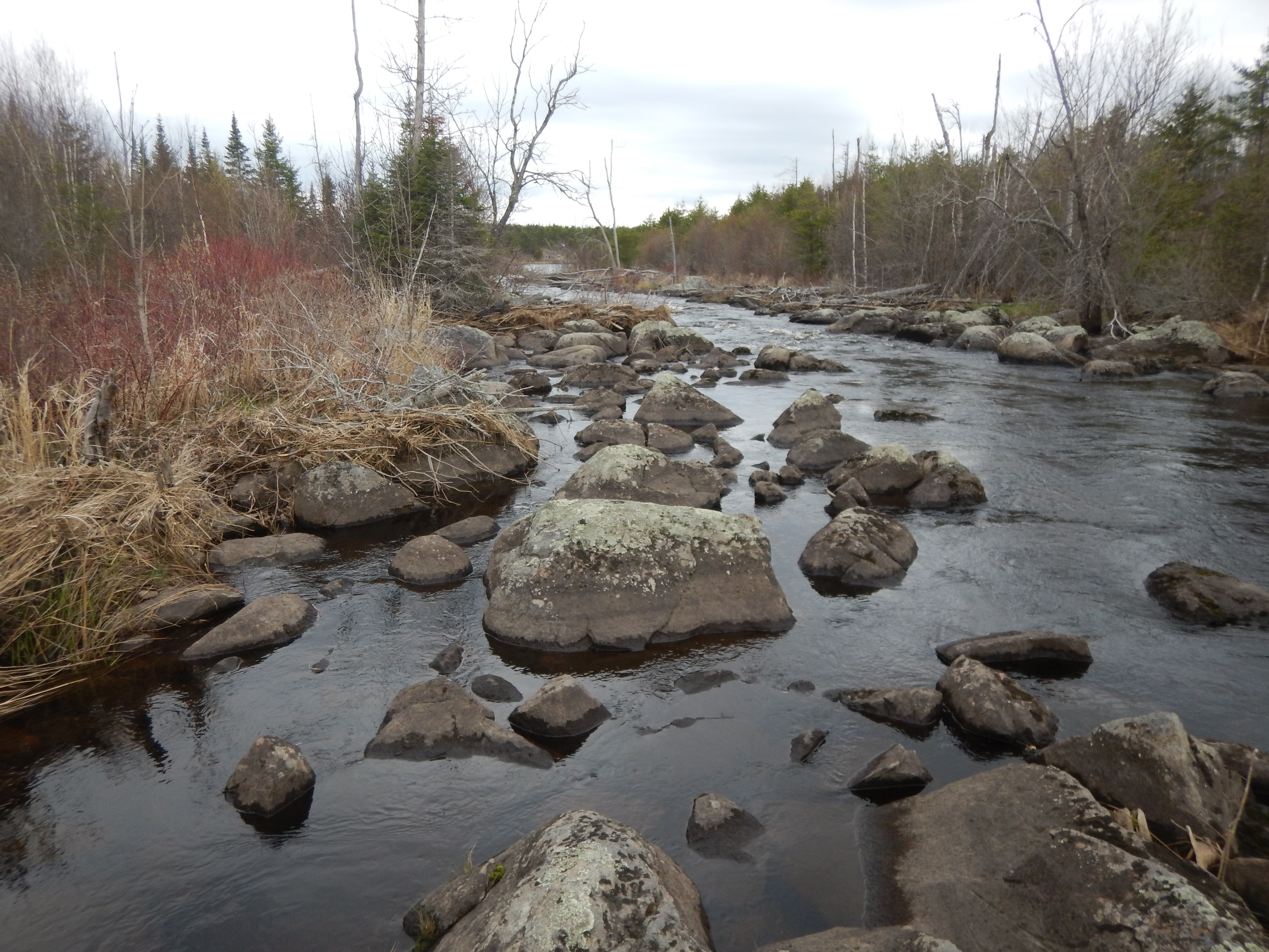 rapids