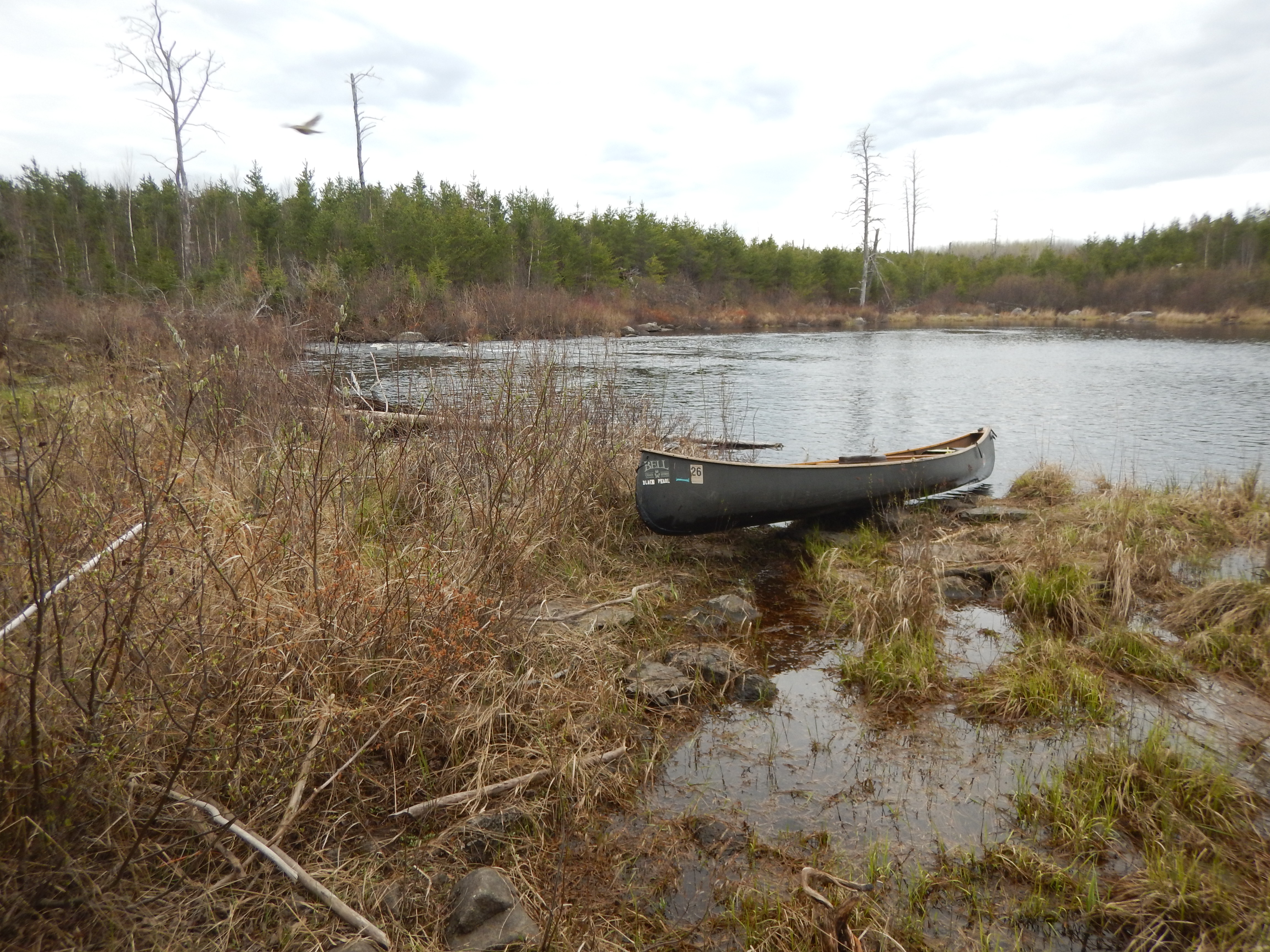 Portage #807 downstream landing