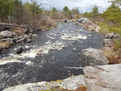 rapids