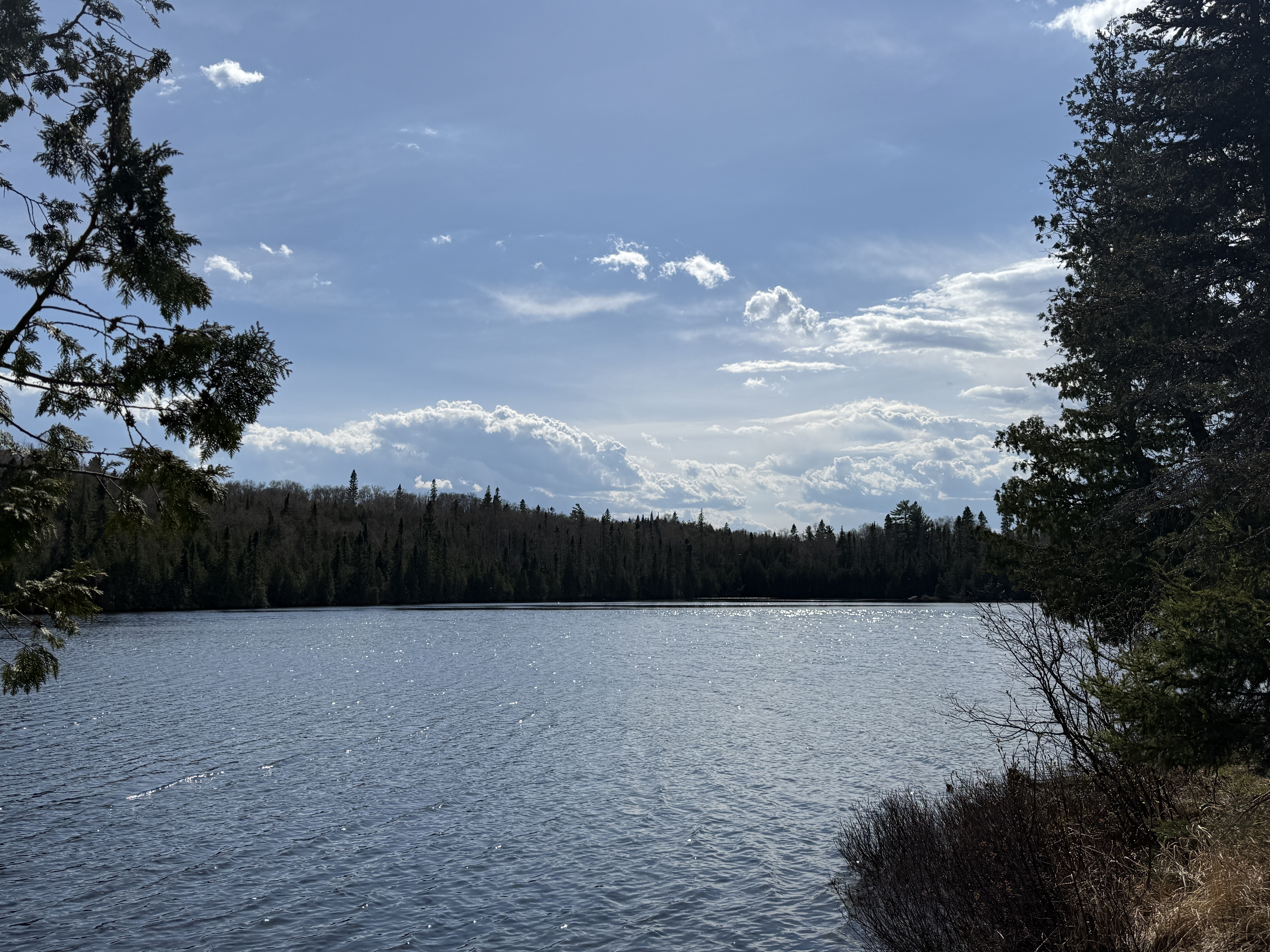 View from camp