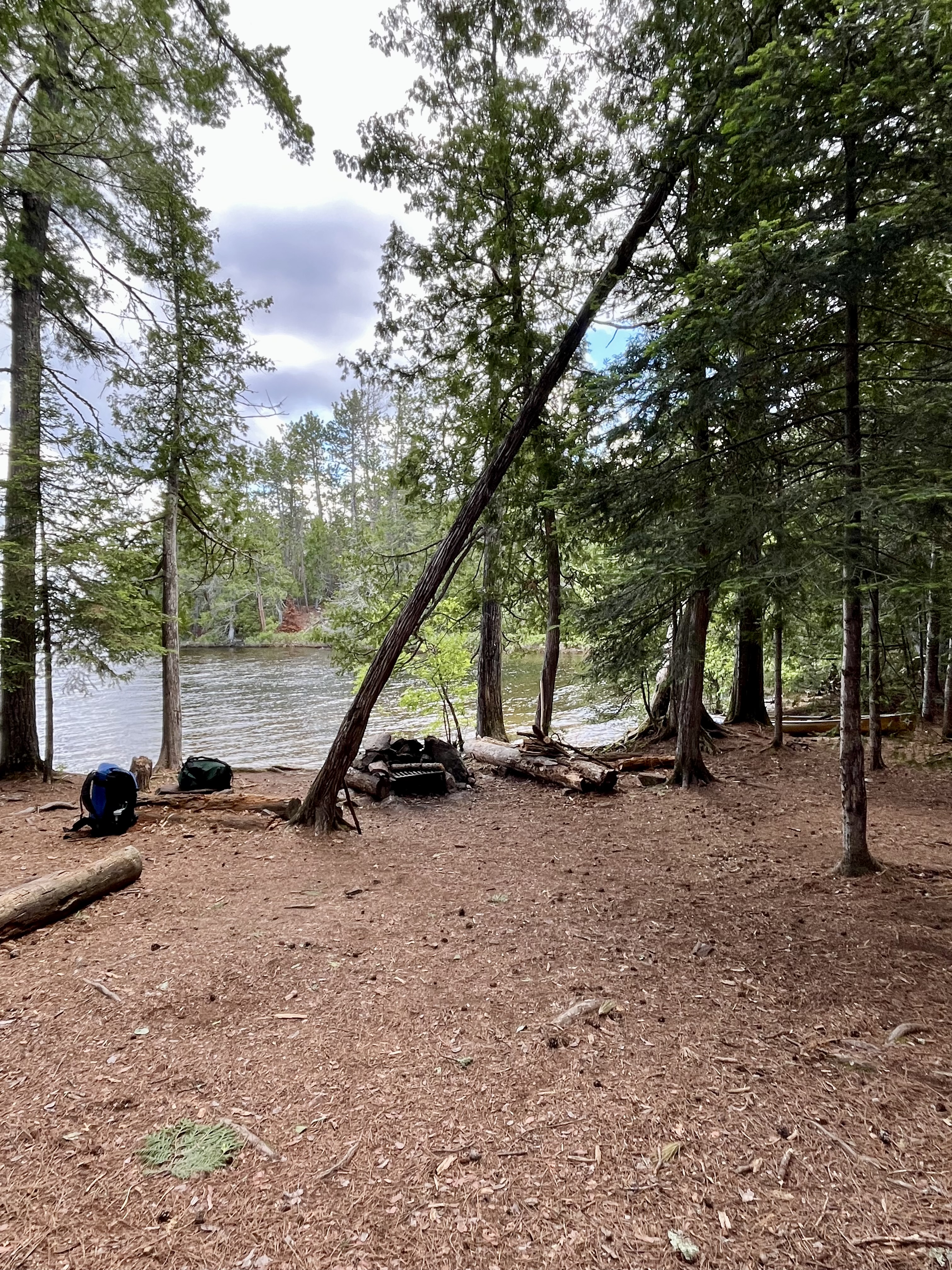 Site 401