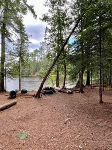 Site 401