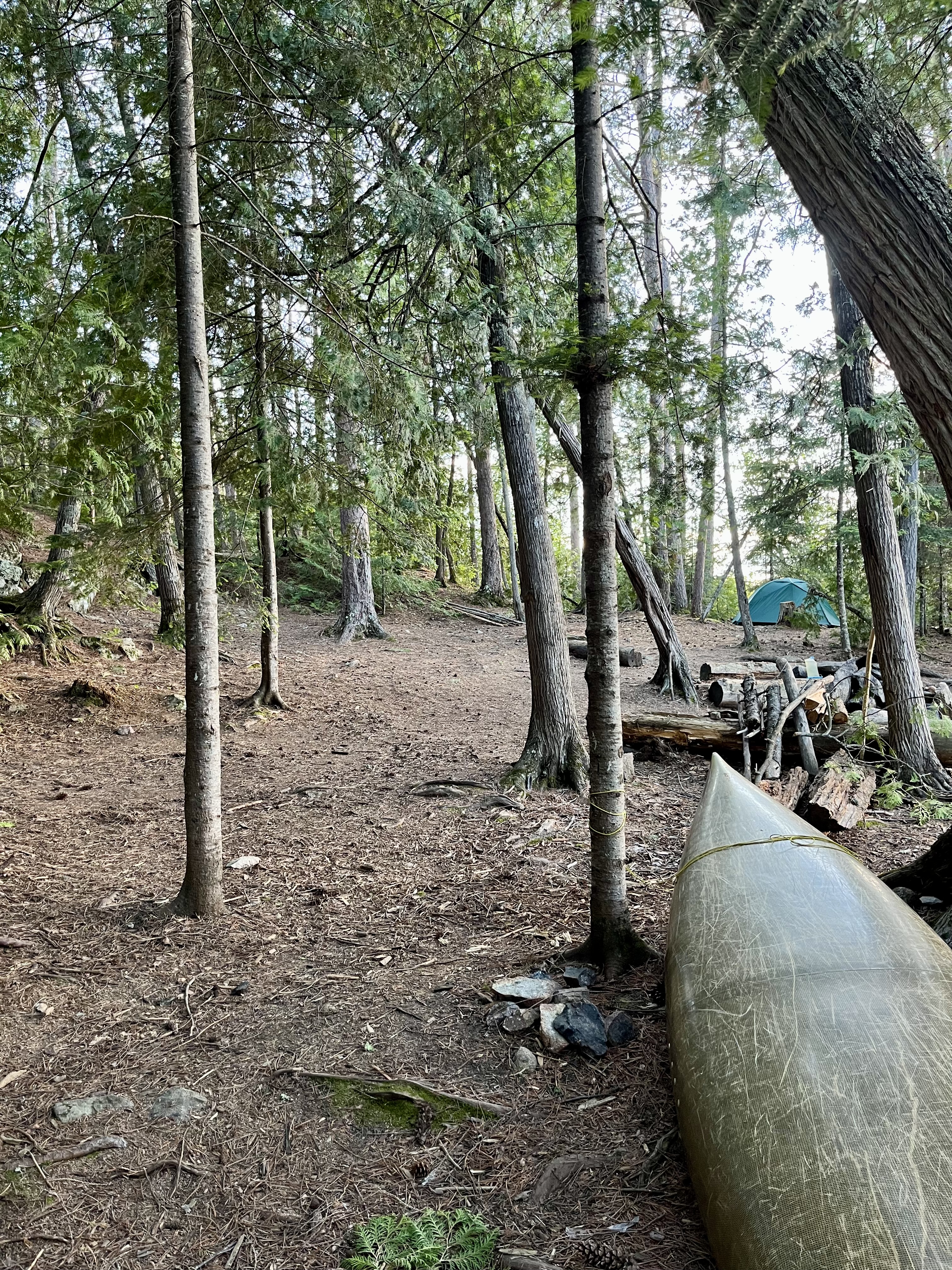 Site 401 b