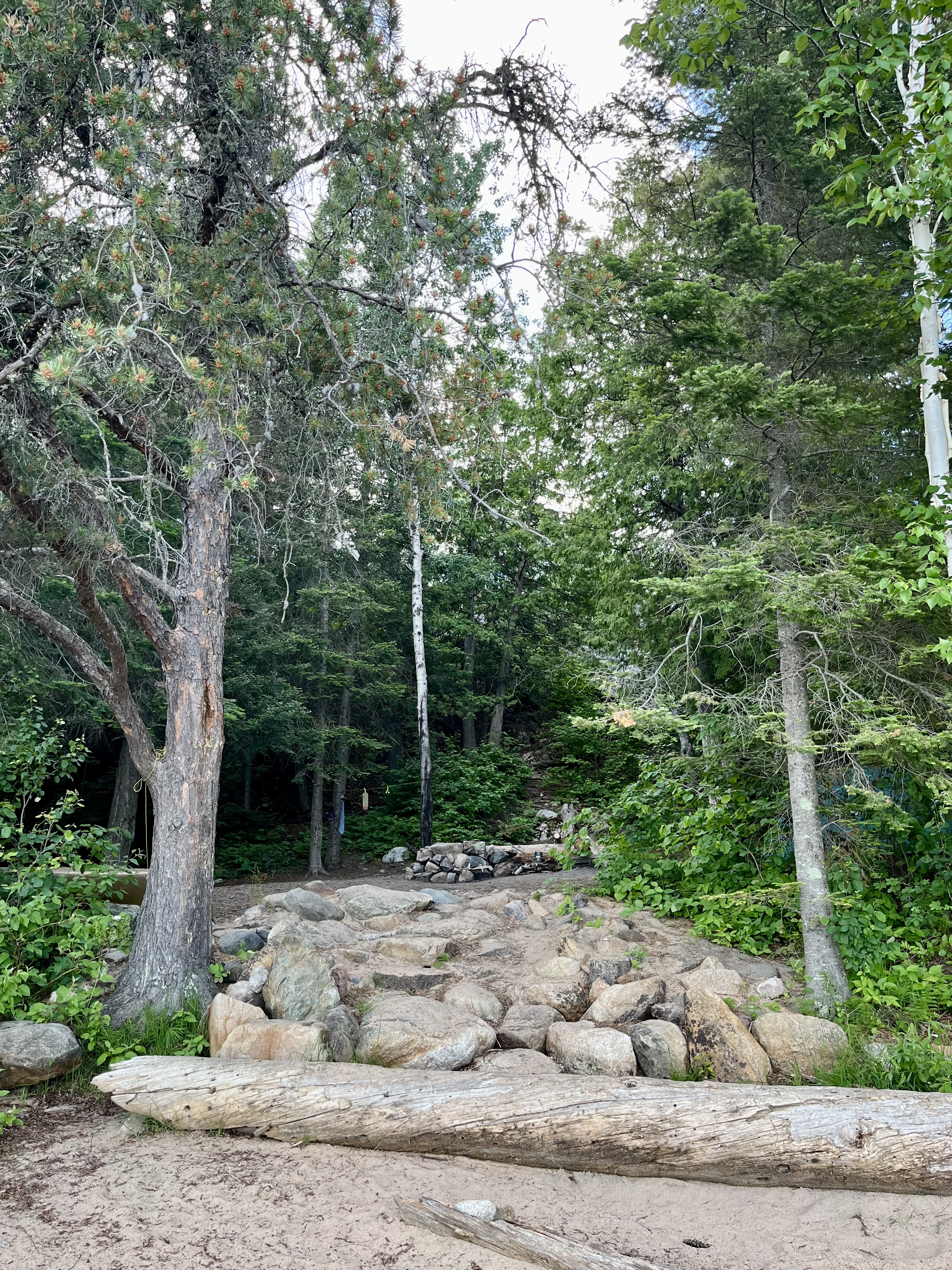 Site 469
