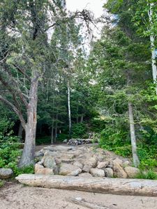 Site 469