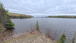 Campsite 1307