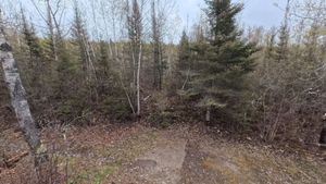 Campsite 1307