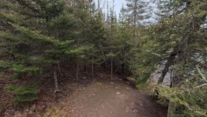 Campsite 1306