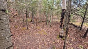 Campsite 1306