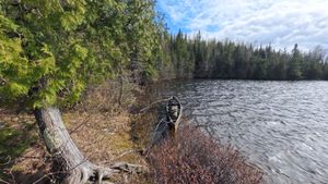 Campsite 1299