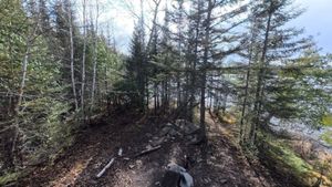 Campsite 1299