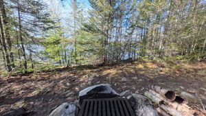 Campsite 1299