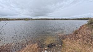 Portage 459