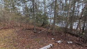 Campsite 1310