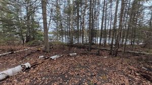Campsite 1310