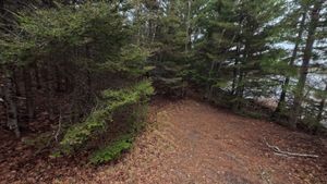 Campsite 1311