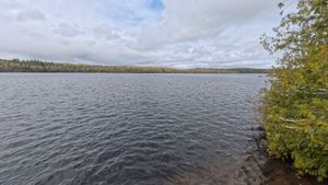 Campsite 1305