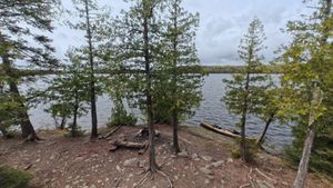 Campsite 1305