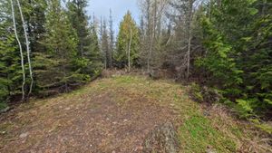 Campsite 1305