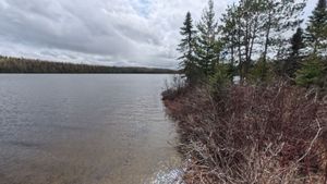 Campsite 1298