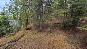 Campsite 1298