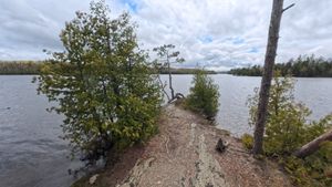 Campsite 1298