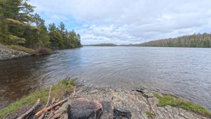 Campsite 1297