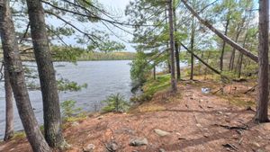 Campsite 1297