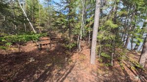 Campsite 1297