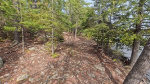 Campsite 2087