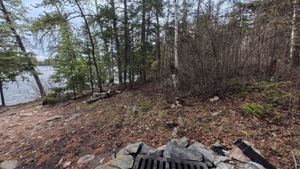 Campsite 2087
