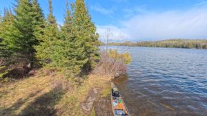 Campsite 1295