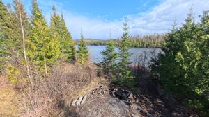 Campsite 1295