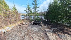 Campsite 1295