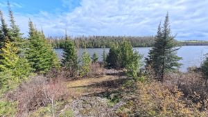 Campsite 1295