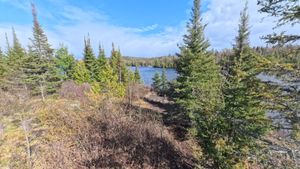 Campsite 1295