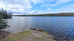 Campsite 1294