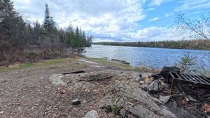 Campsite 1294