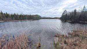 Campsite 1294