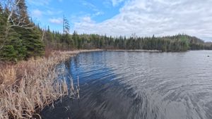 Campsite 1294