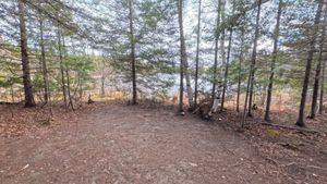 Campsite 1294