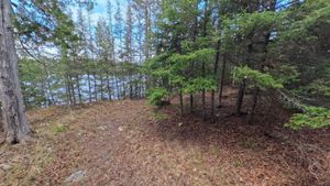 Campsite 1294