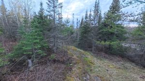 Campsite 1274