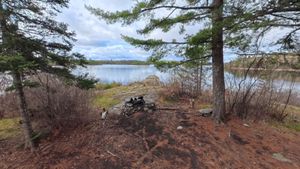 Campsite 1277