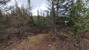 Campsite 1277