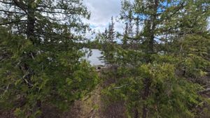 Campsite 1262