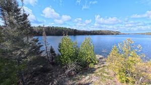 Campsite 1233